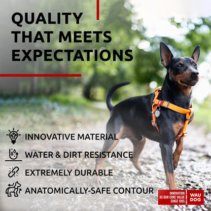 WAUDOG Waterproof Adjustable Dog Harness
