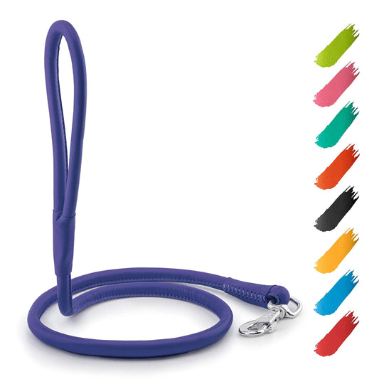 Rolled Leather Dog Leash 6Ft * 0.5in