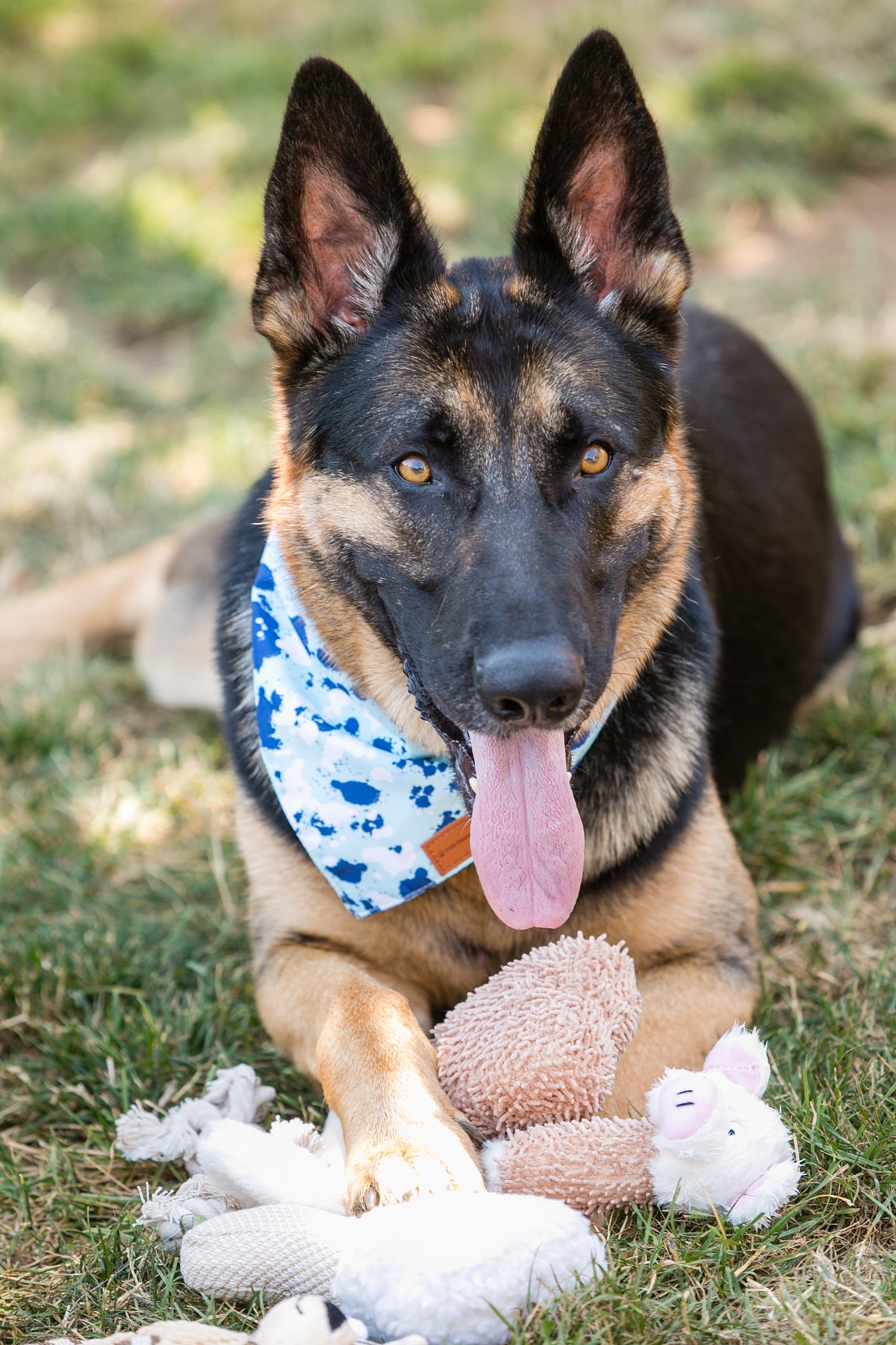 6-Pack Adorable Dog Plush Toys