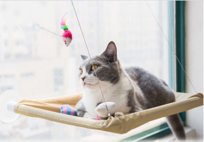 Cat Window Bed Hammock Perch with Strong Suction Cups | The PetRiot