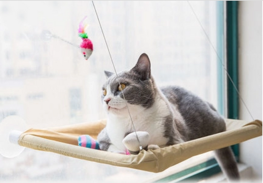 Cat Window Bed Hammock Perch with Strong Suction Cups | The PetRiot