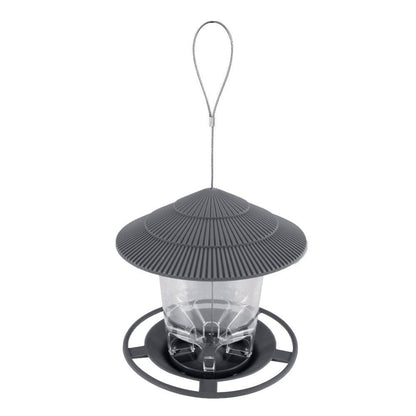 Hanging Bird Feeder: Attract And Delight Garden Birds