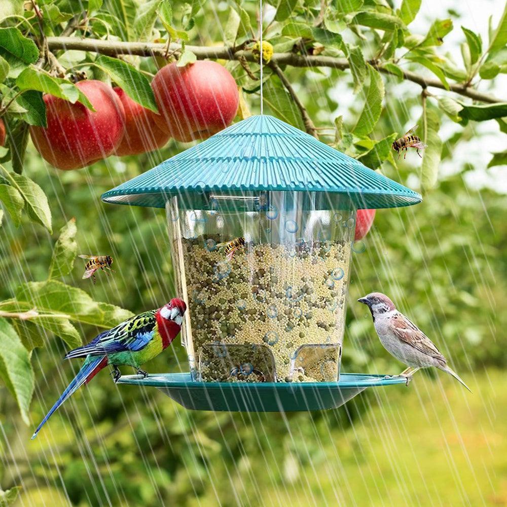 Hanging Bird Feeder: Attract And Delight Garden Birds
