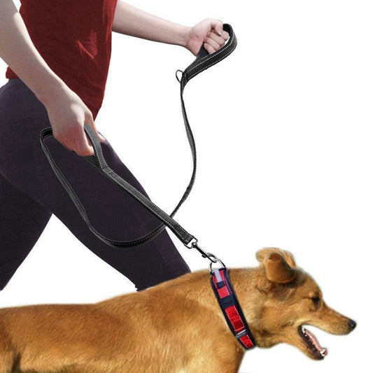Double Distance Reflective Nylon Pet Leash With Metal Buckle