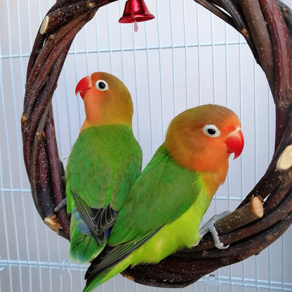 Rattan Ring Bird Cage Chewing Toy With Standing Frame