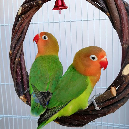 Rattan Ring Bird Cage Chewing Toy With Standing Frame