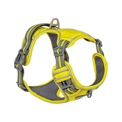 Explosive Red Adventure Dog Harness