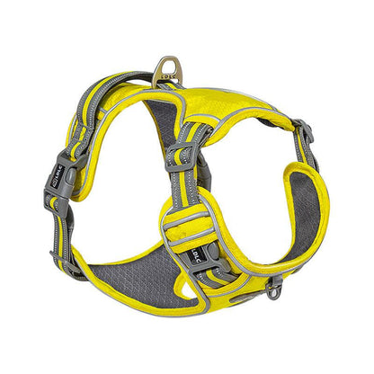 Explosive Red Adventure Dog Harness
