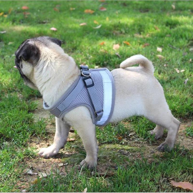 Reflective Airmesh Pet Harness