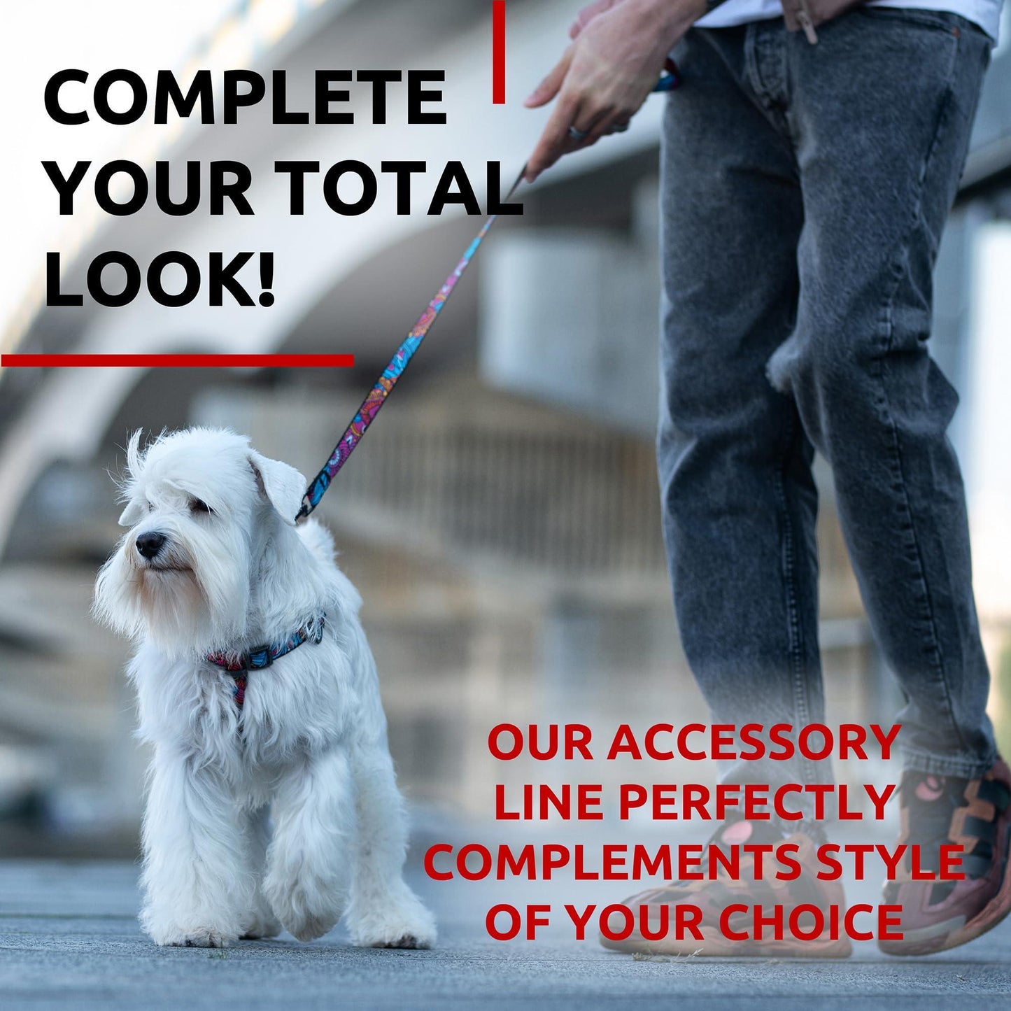 WAUDOG Nylon Dog Leash 4ft