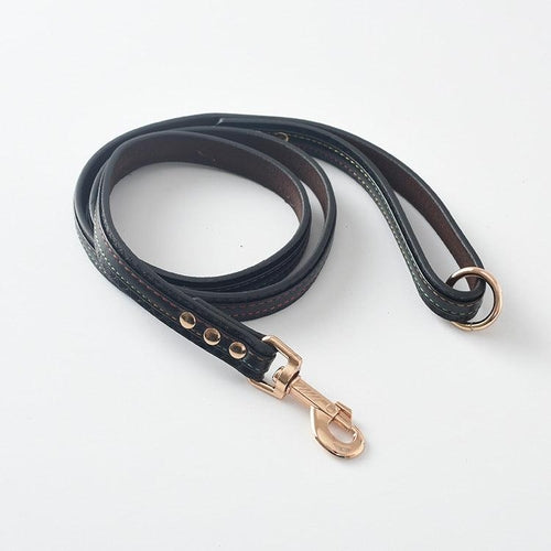 Ultimate Pet Walking Set: Stylish Pu Leash And Collar Combo