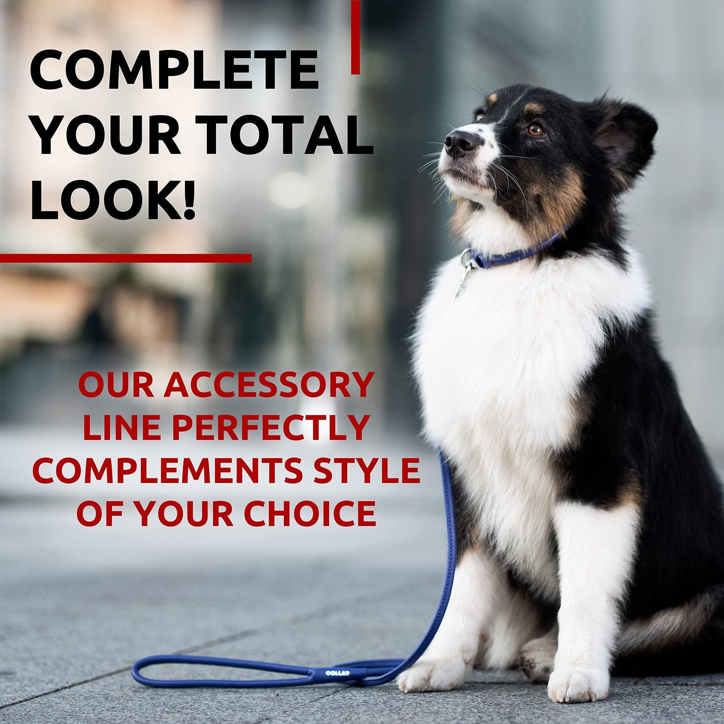 Rolled Leather Dog Leash 6Ft * 0.5in