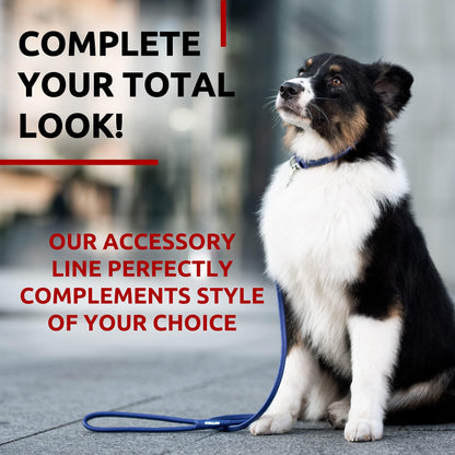 Rolled Leather Dog Leash 6Ft * 0.5in