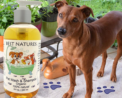 Organic Pet Wash and Shampoo