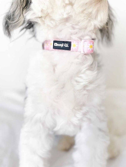 Precious Peach Daisy Collar