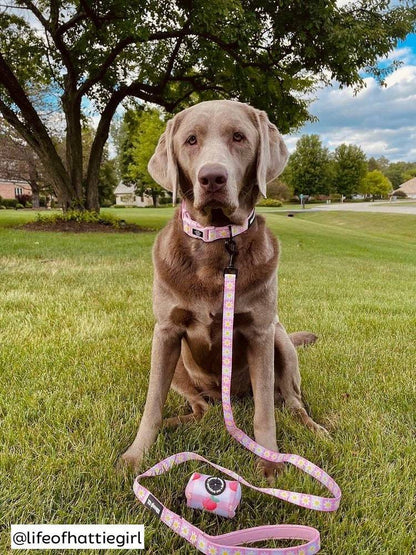 Precious Peach Daisy Collar