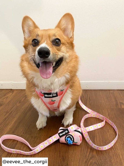 Precious Peach Collection - Adjustable Harness