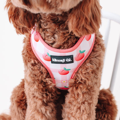 Precious Peach Collection - Adjustable Harness