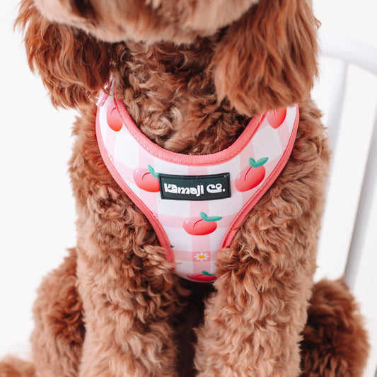 Precious Peach Collection - Adjustable Harness