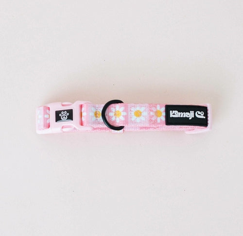 Precious Peach Daisy Collar