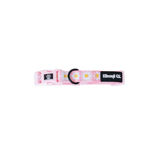 Precious Peach Daisy Collar