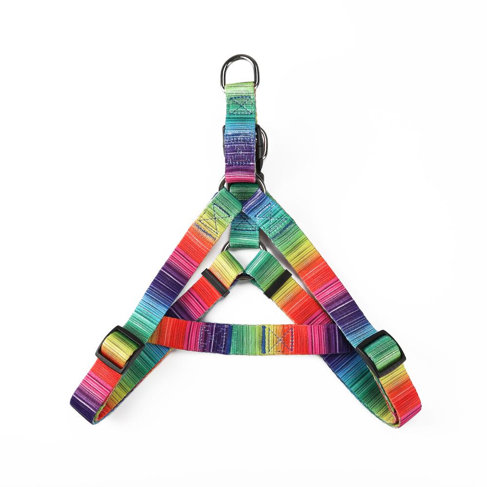 Rainbow Matching Leash & collars Set