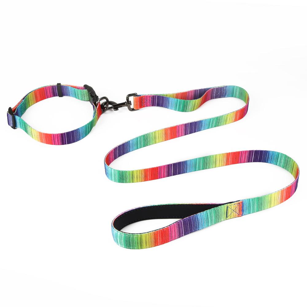 Rainbow Matching Leash & collars Set