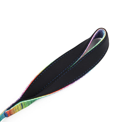 Rainbow Matching Leash & collars Set
