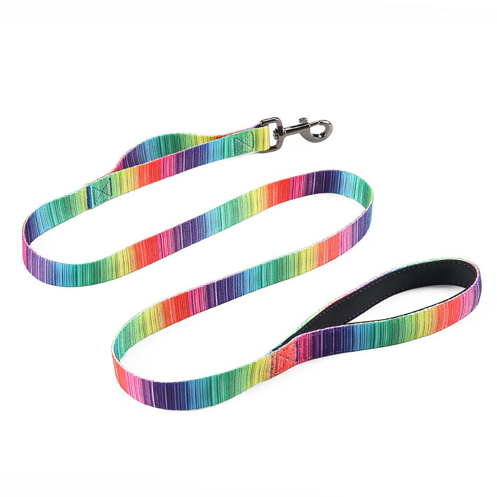 Rainbow Matching Leash & collars Set