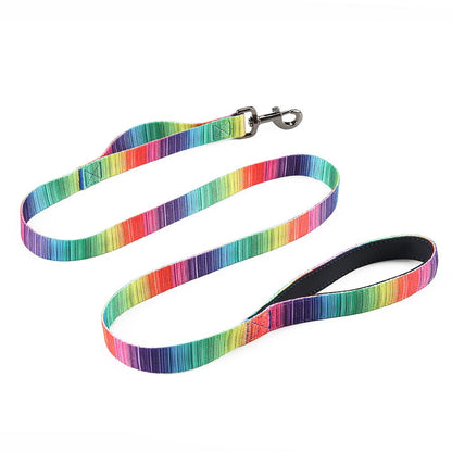 Rainbow Matching Leash & collars Set