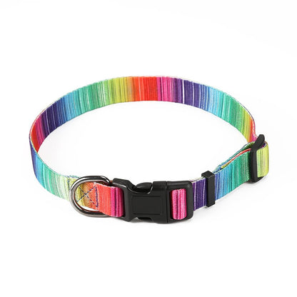 Rainbow Matching Leash & collars Set