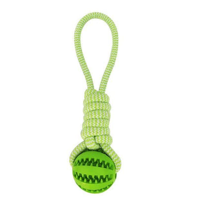 Durable Rubber Ball Chew Toy with Cotton Rope – Interactive Dental Play