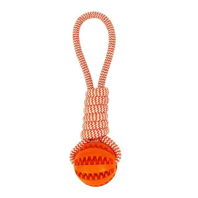 Durable Rubber Ball Chew Toy with Cotton Rope – Interactive Dental Play